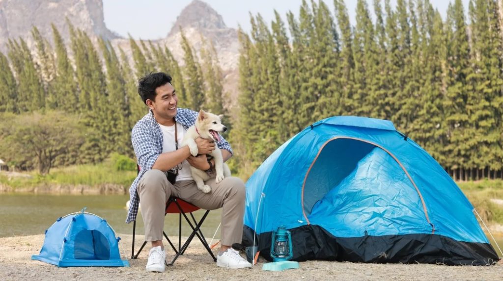 Camping with a puppy: a complete guide img