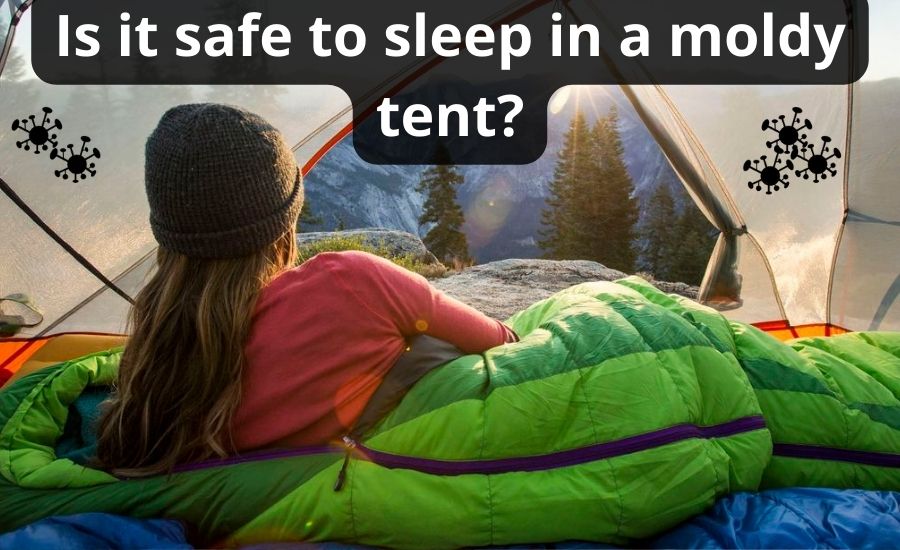 Is It Safe To Sleep In A Moldy Tent Top 3 Tips & Best Guide